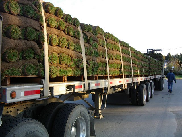 Buy Pallet Of Sod