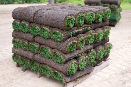 Buy Pallet Of Sod For Sale (450 Sq Ft – $350)