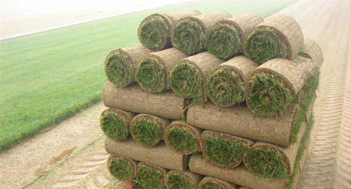Buy Pallet Of Sod how much does a pallet of sod weigh
